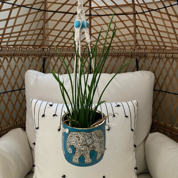 Hanging Elephant Planter - Picture 3 of 10